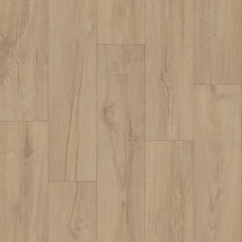 PRESTIGE  MILKYWAY 4; MILKYWAY 5 PRESTIGE  MILKYWAY 4; MILKYWAY 5