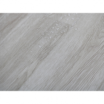 NR609 Дуб Хортен