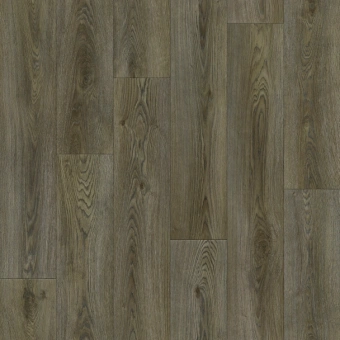 BONUS NERO 1; NERO 2; NERO 3 BONUS NERO 1; NERO 2; NERO 3