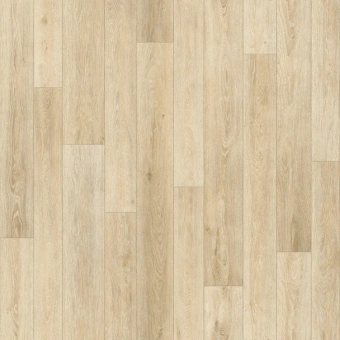 BONUS DUNCAN 1 BONUS DUNCAN 1