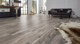 4796 Дуб горный Титан