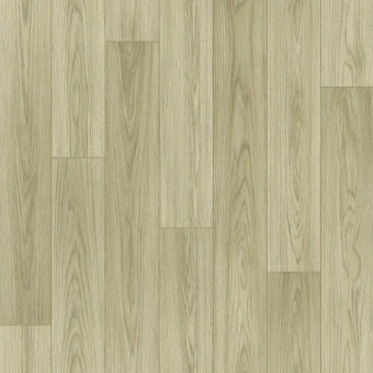 FORCE R NORMAN 1 FORCE R NORMAN 1