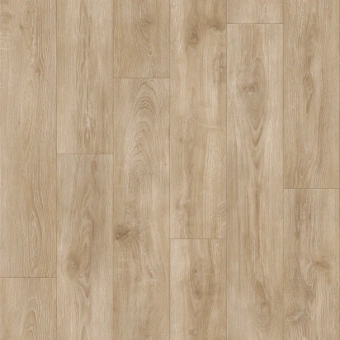 IDYLLE NOVA  MOTION 1; MOTION 2; MOTION 3 IDYLLE NOVA  MOTION 1; MOTION 2; MOTION 3