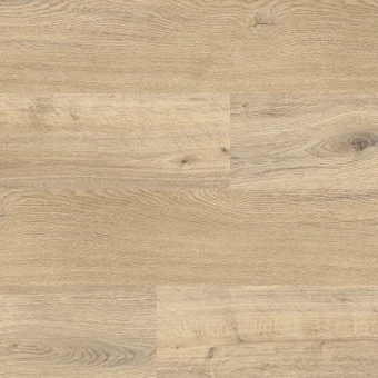 7011 Дуб Адель