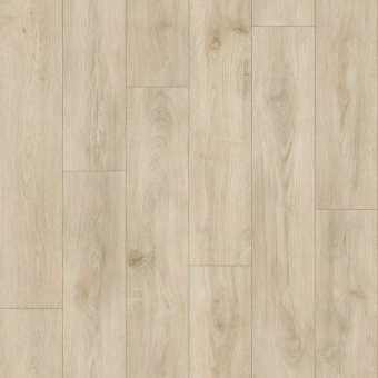 IDYLLE NOVA  MOTION 1; MOTION 2; MOTION 3 IDYLLE NOVA  MOTION 1; MOTION 2; MOTION 3