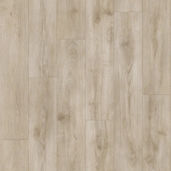 IDYLLE NOVA  MOTION 1; MOTION 2; MOTION 3 IDYLLE NOVA  MOTION 1; MOTION 2; MOTION 3