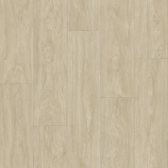 CLUB MAXIMUS 1; MAXIMUS 2 CLUB MAXIMUS 1; MAXIMUS 2