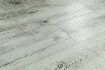 ST305 Дуб Ферде