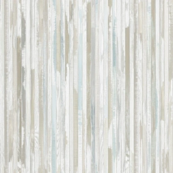 ЕВРОПА WASABI 1 ЕВРОПА WASABI 1