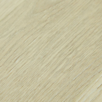 SU1207 Дуб Дафферин