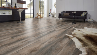 4792 Дуб серый Макро