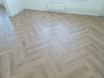 822 Дуб Патек