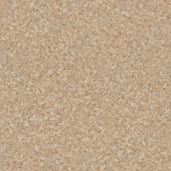 BONUS MARINO 1 BONUS MARINO 1