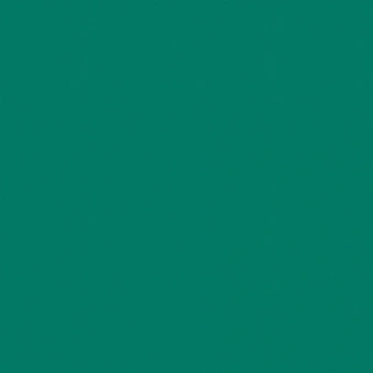 OMNISPORTS ACTION 65 FOREST GREEN OMNISPORTS ACTION 65 FOREST GREEN