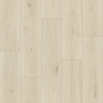 FORCE R MAISON 1 FORCE R MAISON 1