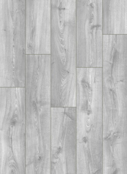 UWH 8632 Дуб старинный