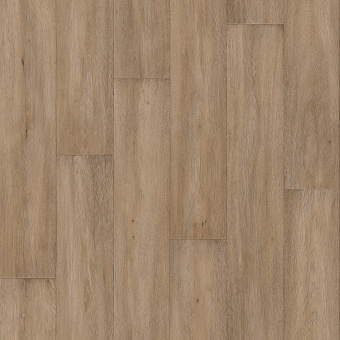 AСTIVA  APOLLO 1;   APOLLO 2 AСTIVA  APOLLO 1;   APOLLO 2