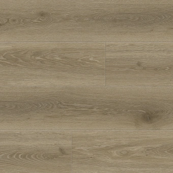 8388 Дуб Бертран