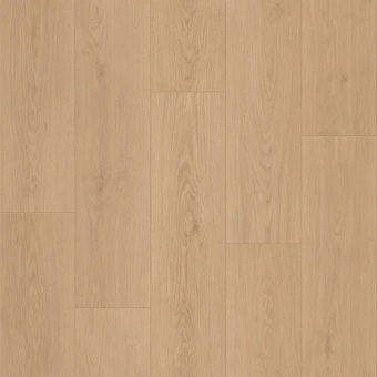 CRAFT OLBANY 2 CRAFT OLBANY 2