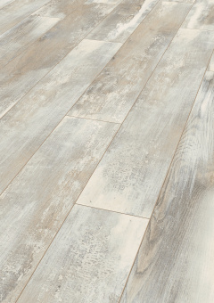 4754  Дуб Хелла