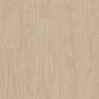 ФАВОРИТ TALBOT 1; TALBOT 2; TALBOT 3 ФАВОРИТ TALBOT 1; TALBOT 2; TALBOT 3