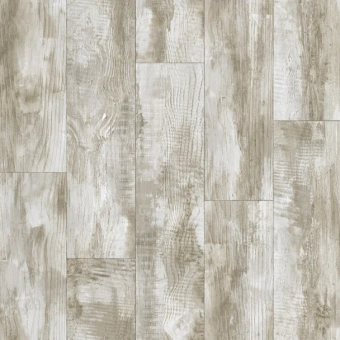 GLADIATOR -MIELE 2