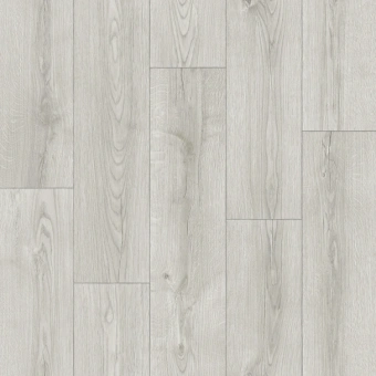 CAPRICE  DILAN 1 CAPRICE  DILAN 1