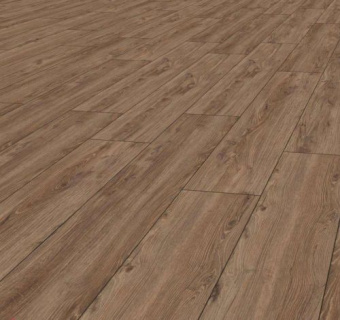 4709 Орех Таррагона 