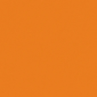 OMNISPORTS ACTION 65 ORANGE OMNISPORTS ACTION 65 ORANGE