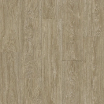 CLUB MAXIMUS 1; MAXIMUS 2 CLUB MAXIMUS 1; MAXIMUS 2