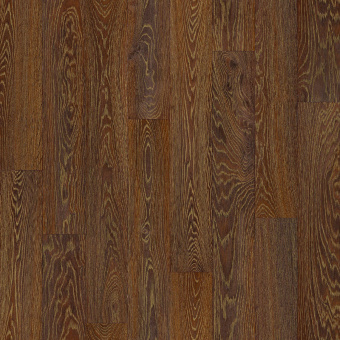 BONUS 230503004 BONUS 230503004