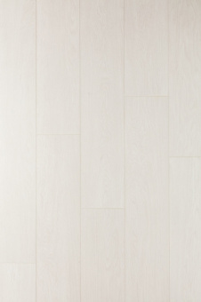 CXI145 Дуб платиновый