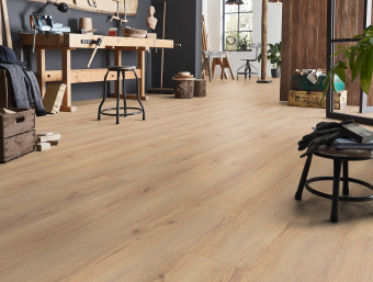 D80592 Дуб Норфолк