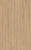 D80592 Дуб Норфолк